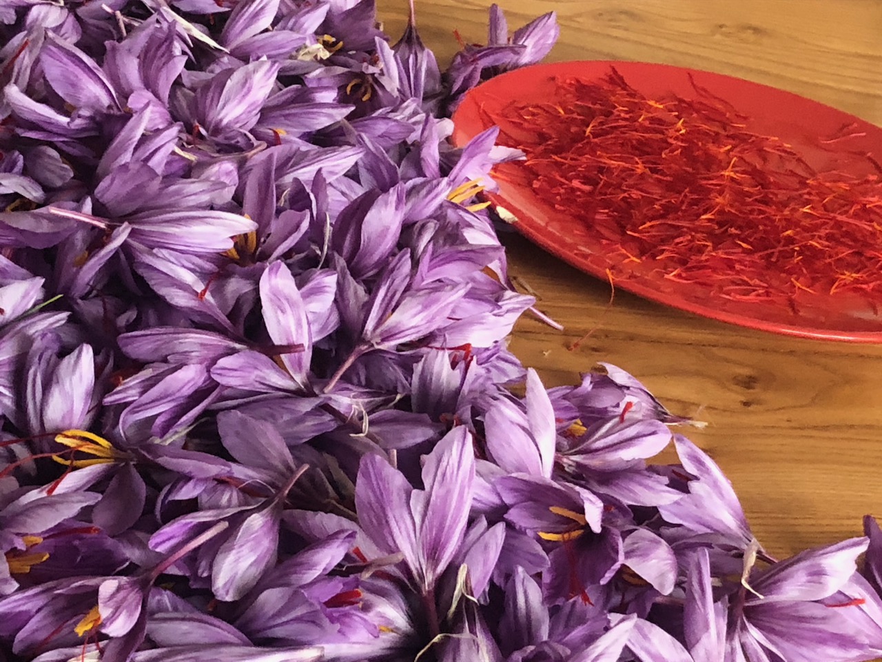 Safran du Jura, producteur de safran. Pistil de safran en vente